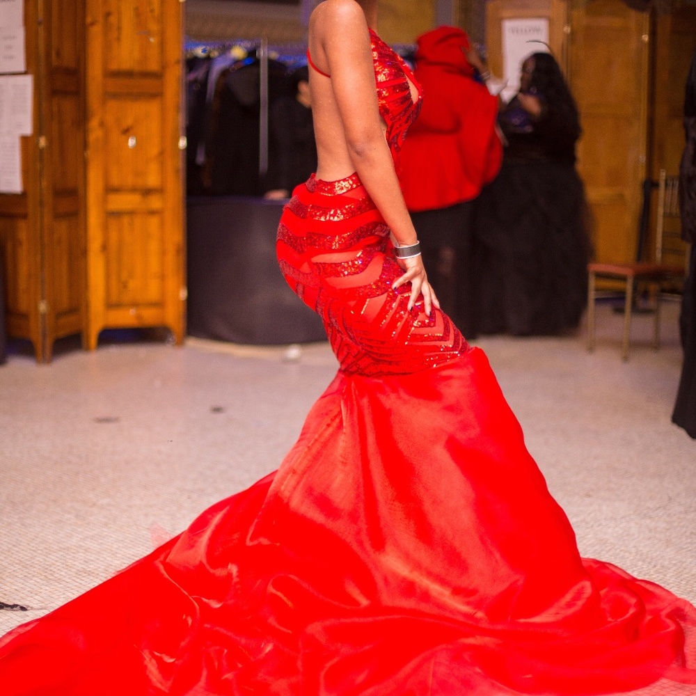 Custom Made Red Mesh Gown with 20+ inch train (Prom, Wedding, Special Occasion)